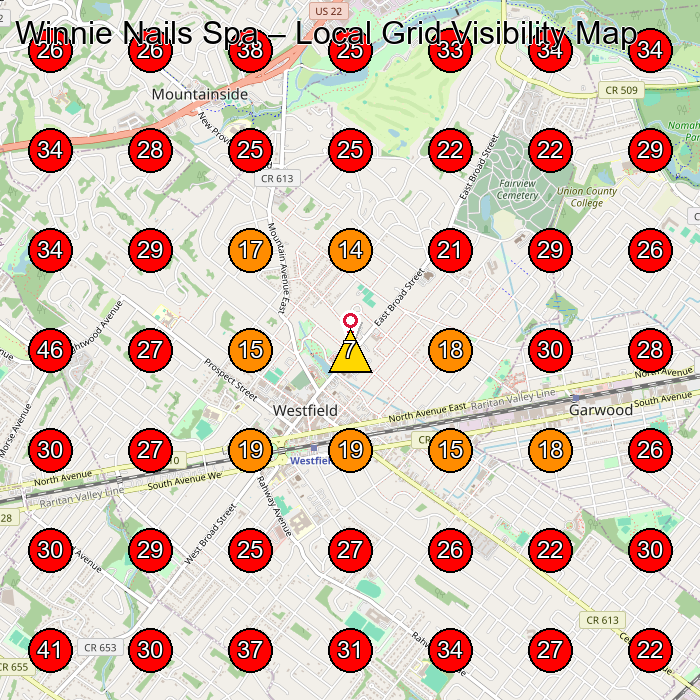 Winnie Nails Spa GeoGrid visibility map for Sala³N De Manicura Y Pedicura in Union